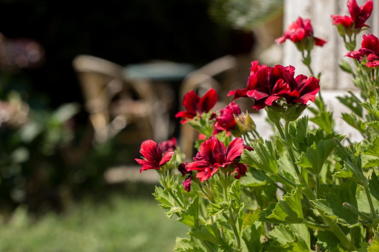 Villa Donna Fausta Agerola Kültér fotó